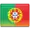 Portuguese Version of SpringExotics.com Website